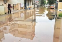 The Ultimate Guide to Choosing the Right Gutter Guards for Your Home